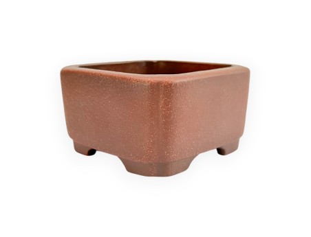 Pot - Shuiming - 9 cm