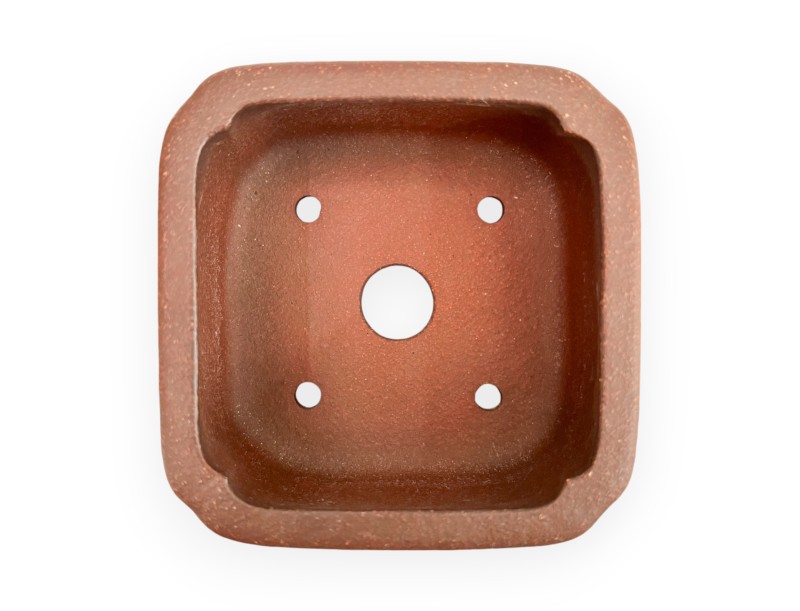 Pot - Shuiming - 9 cm