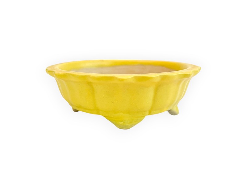 Vaso - Kobachi - 10 cm