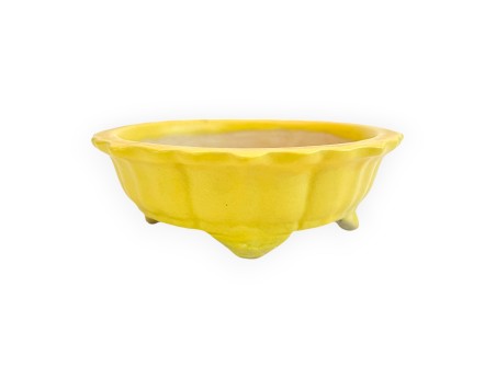 Pot - Kobachi - 10 cm