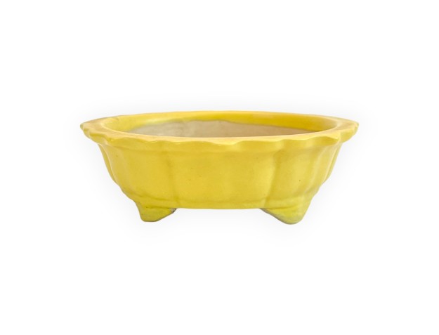 Pot - Kobachi - 10 cm