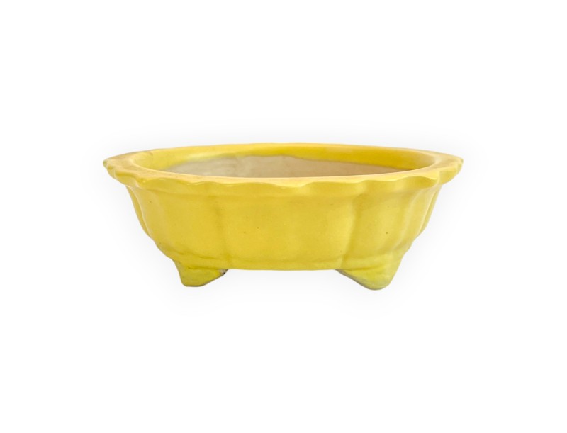 Pot - Kobachi - 10 cm