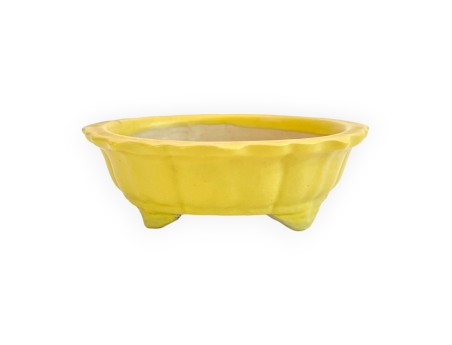 Vaso - Kobachi - 10 cm