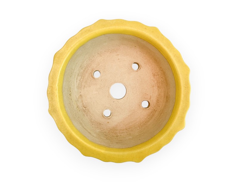Vaso - Kobachi - 10 cm