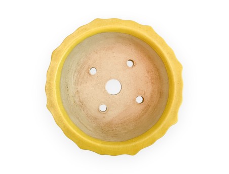 Pot - Kobachi - 10 cm