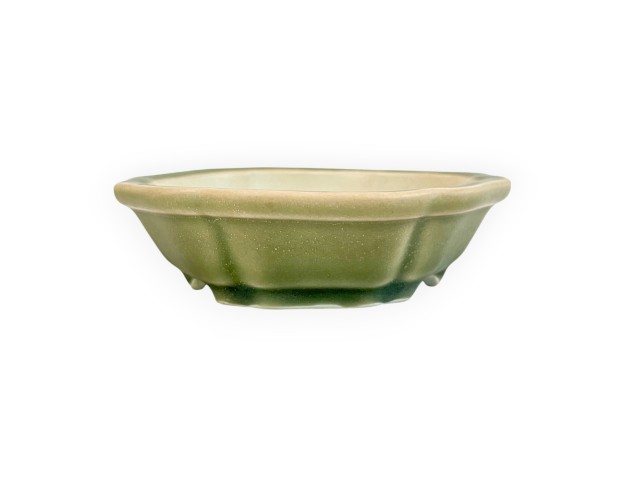 Pot - Shuiming - 13 cm