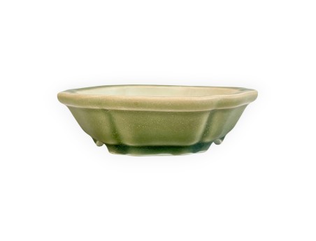 Pot - Shuiming - 13 cm