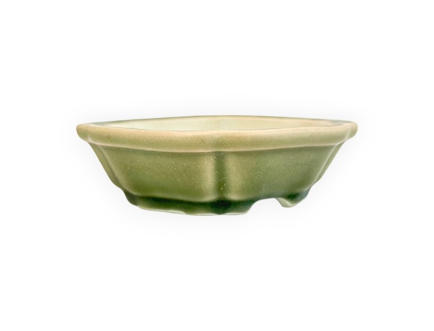 Pot - Shuiming - 13 cm 2