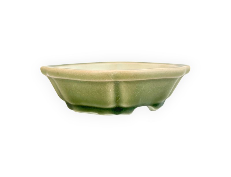 Pot - Shuiming - 13 cm