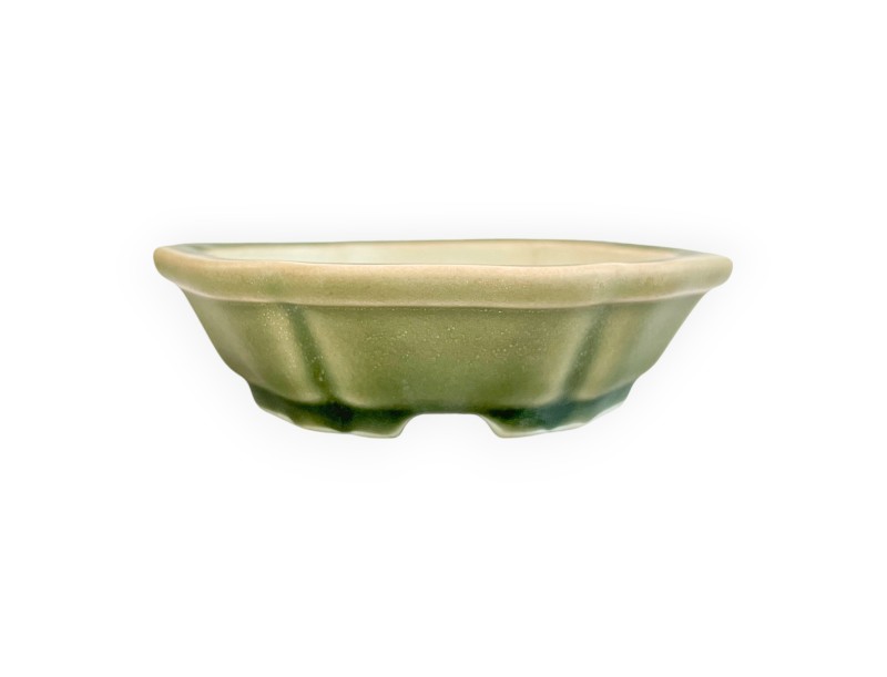 Pot - Shuiming - 13 cm