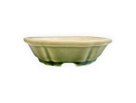 Pot - Shuiming - 13 cm