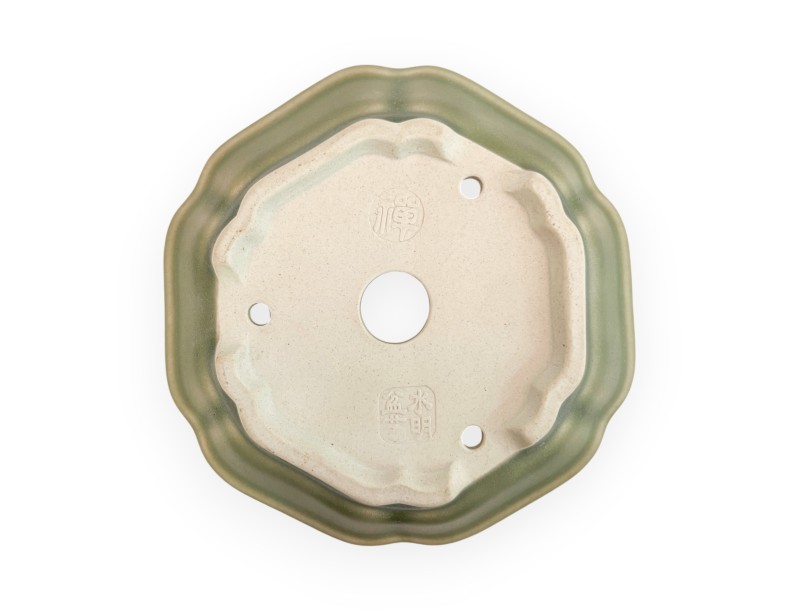 Pot - Shuiming - 13 cm