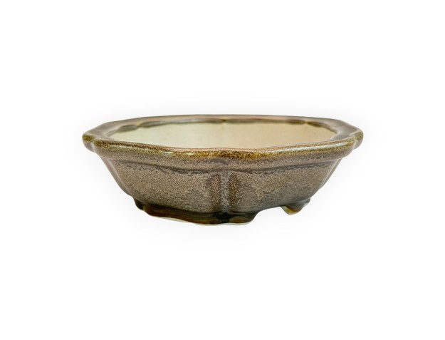 Pot - Shuiming - 13 cm 2