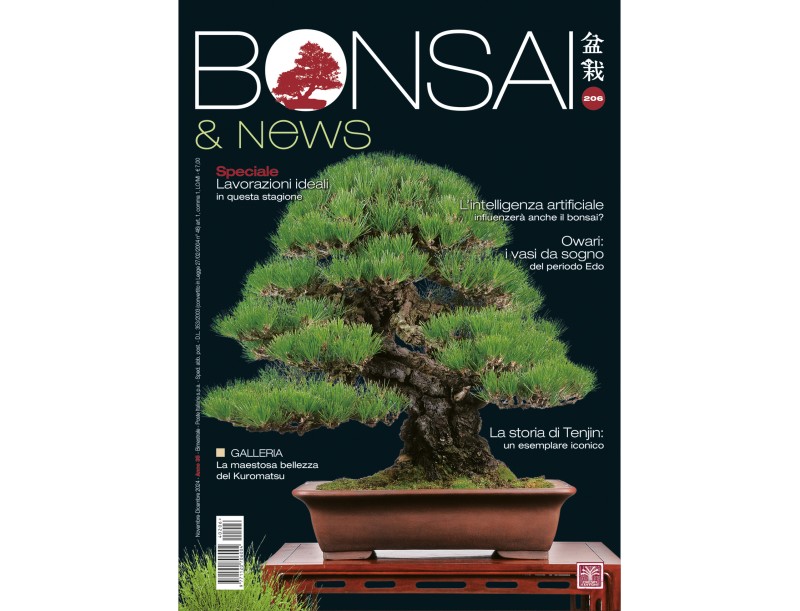 BONSAI & news 206 november-december 2024