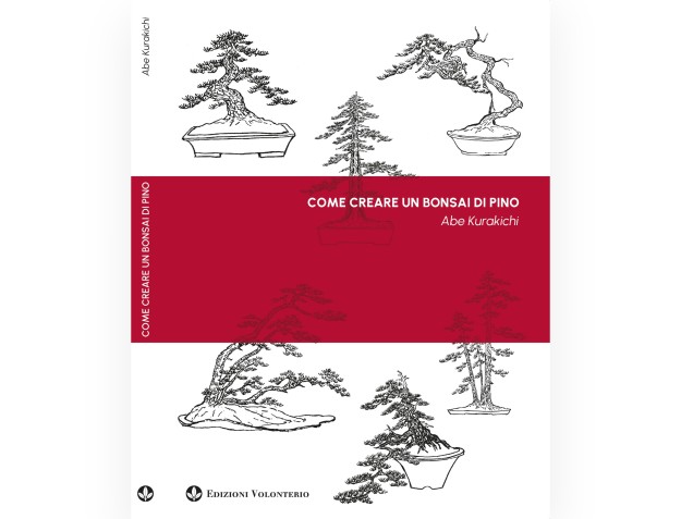 Come creare un Bonsai di Pino - A. Kurakichi