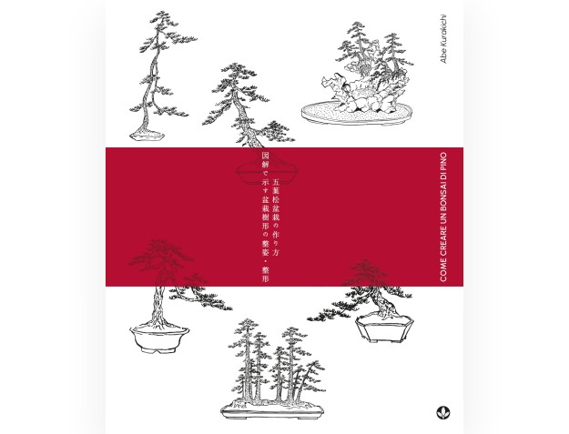 So erstellen Sie einen Kiefernbonsai – A. Kurakichi 2