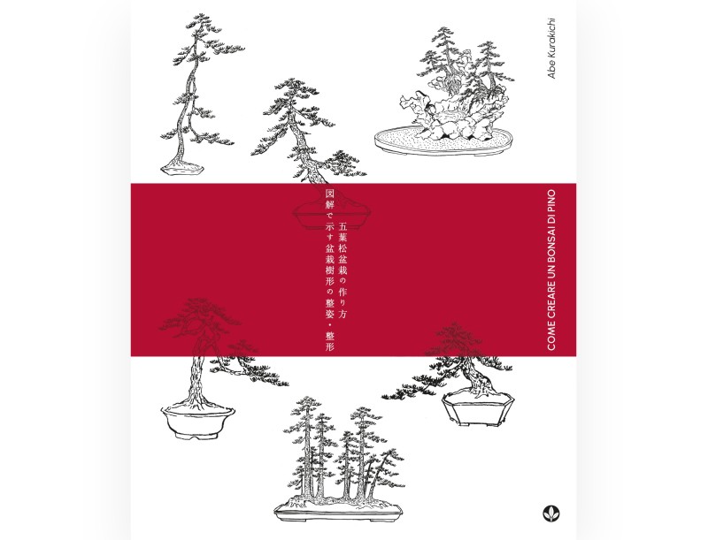 Come creare un Bonsai di Pino - A. Kurakichi