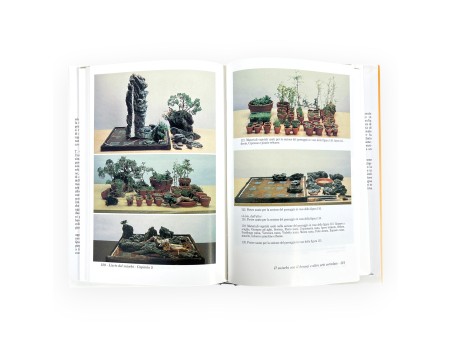 l-arte-del-suiseki-libro