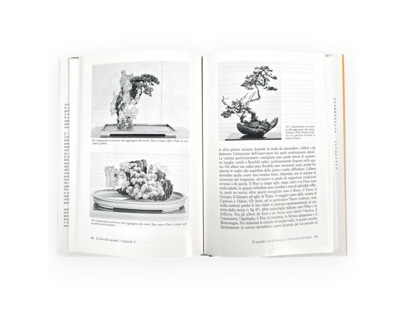 l-arte-del-suiseki-libro