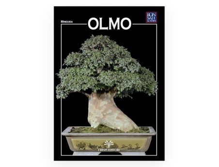 Set Ulmen & Mini-Guide