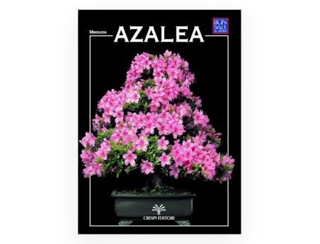 Azalea Set & Mini-Guía