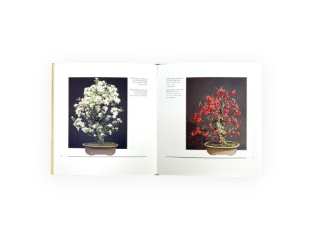Set Bonsai Book Suiseki suggestions & Furoshiki 68 cm