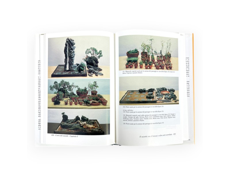 Suiseki & L'Arte del Suiseki Set