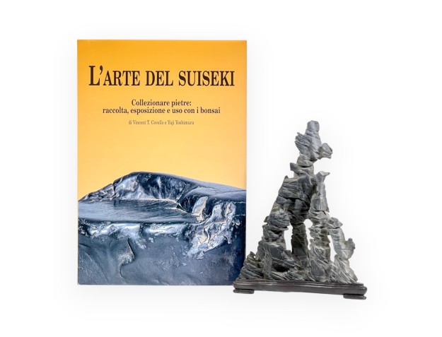 Suiseki & L'Arte del Suiseki Set