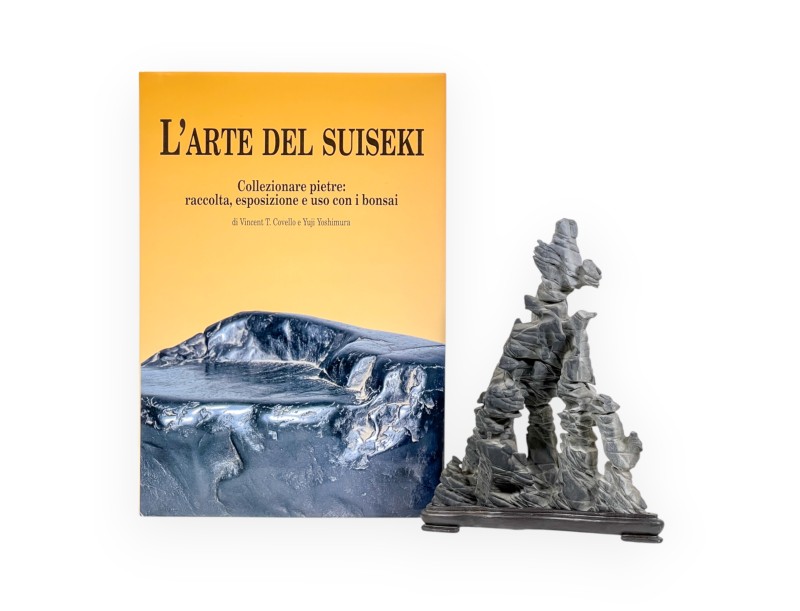 Set Suiseki & L'Arte del Suiseki