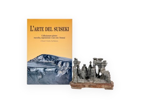 Set Suiseki y L'Arte del Suiseki