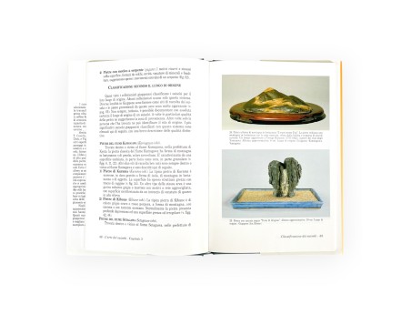 Suiseki & L'Arte del Suiseki Set