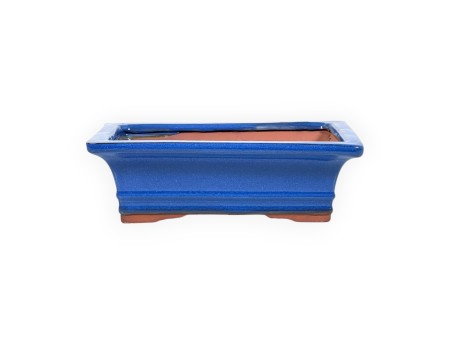 Pot 20,5 rectangular blue
