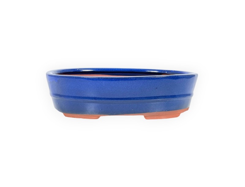 Topf 26,5 oval blaue