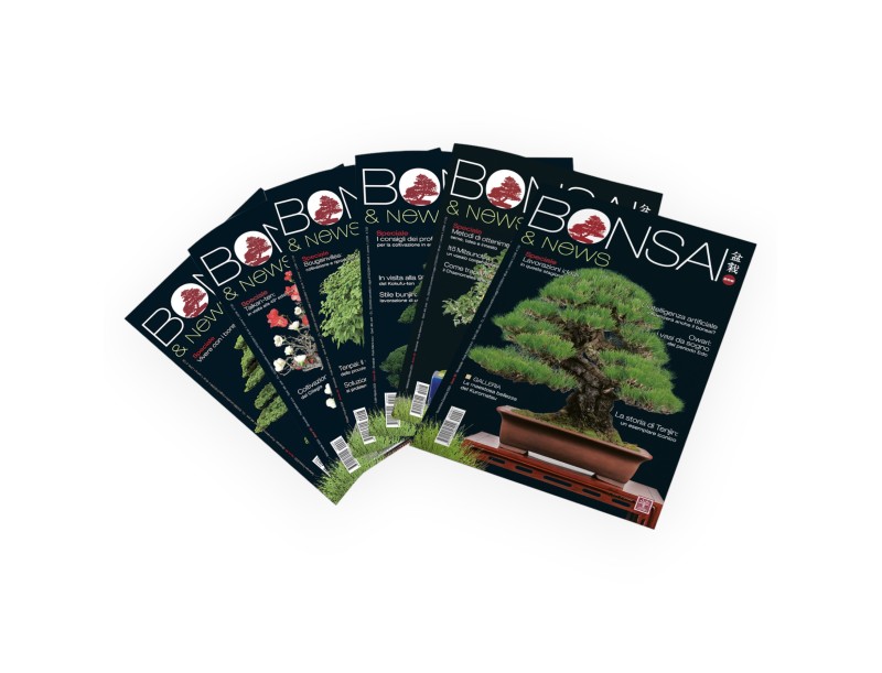 Annual subscription & Winter protection cap Set