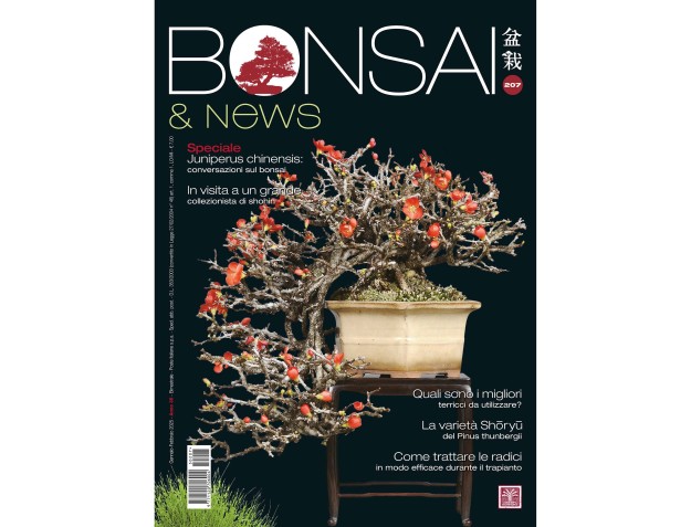 BONSAI & news 207 January-February 2025