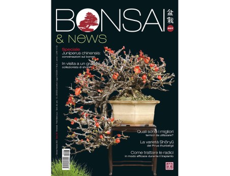 BONSAI & news 207 janvier-février 2025