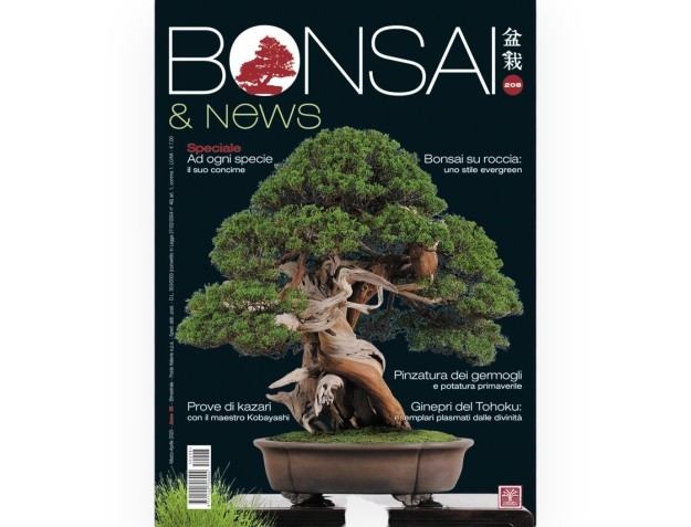 BONSAI & news 208 Maart-april 2025