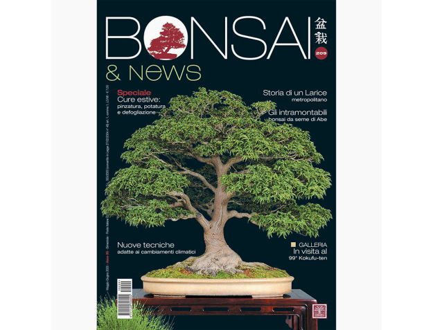 BONSAI & news 209 mai-juin 2025