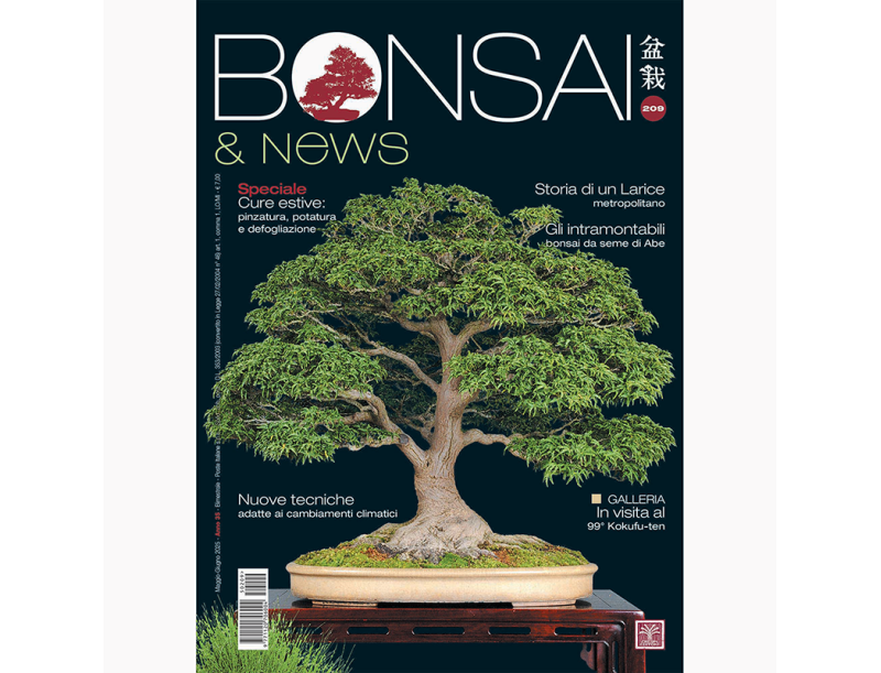 BONSAI & news 209 maggio-giugno 2025