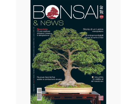 BONSAI & news 209 mayo-junio de 2025