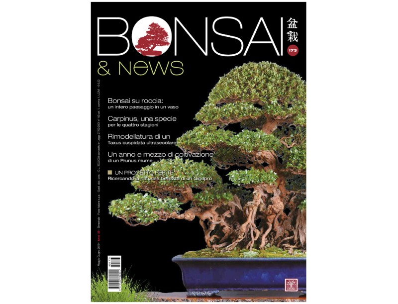 BONSAI & news 173 - May-June 2019