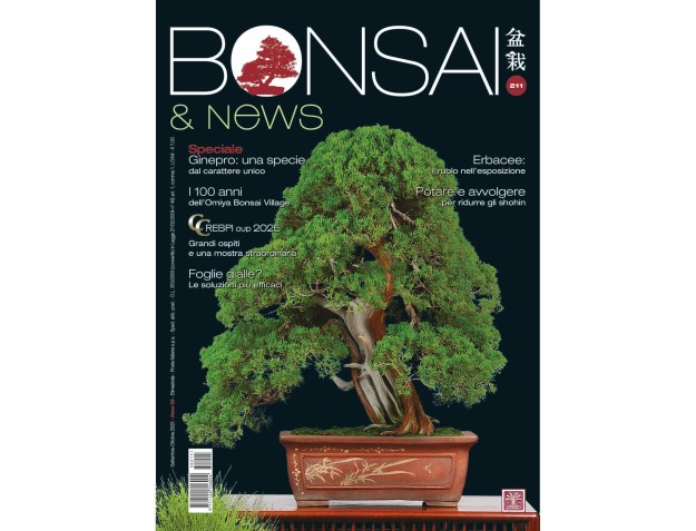 BONSAI & news 211 September-October 2025