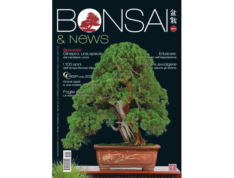 BONSAI & news 211 settembre-ottobre 2025