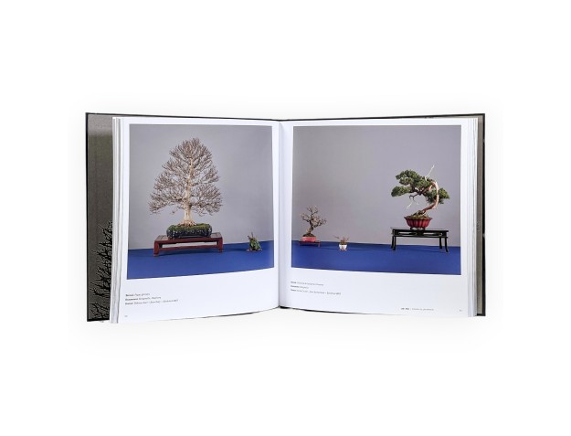 Aki-Ten Brixen: Het officiële bonsai-tentoonstellingsboek 2