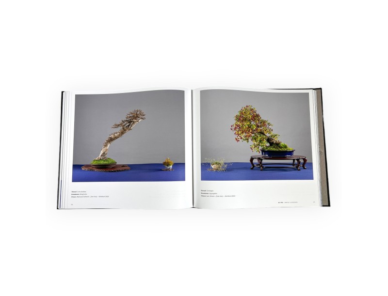 Aki-Ten Bressanone: Il libro ufficiale dell’esposizione bonsai