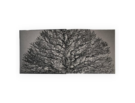 Aki-Ten Bressanone: Il libro ufficiale dell’esposizione bonsai