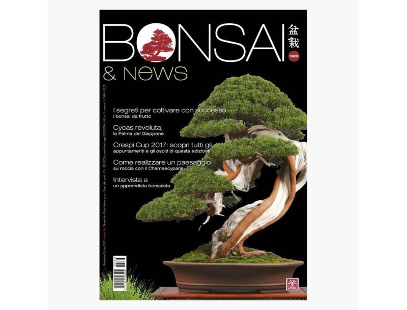 BONSAI & news 163 - Settembre-Ottobre 2017