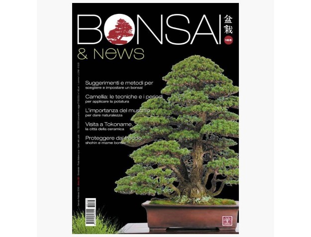 BONSAI & news 165 - Gennaio-Febbraio 2018