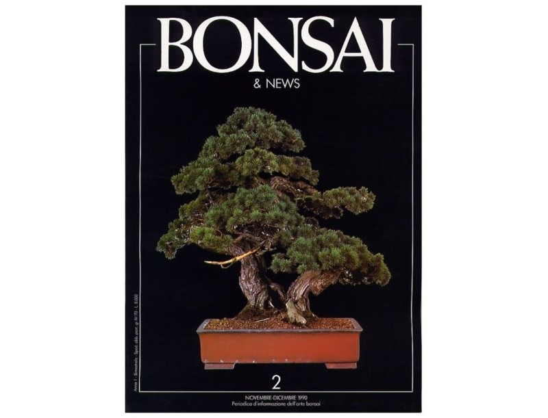 BONSAI & news n.   2 - Novembre-Dicembre 1990