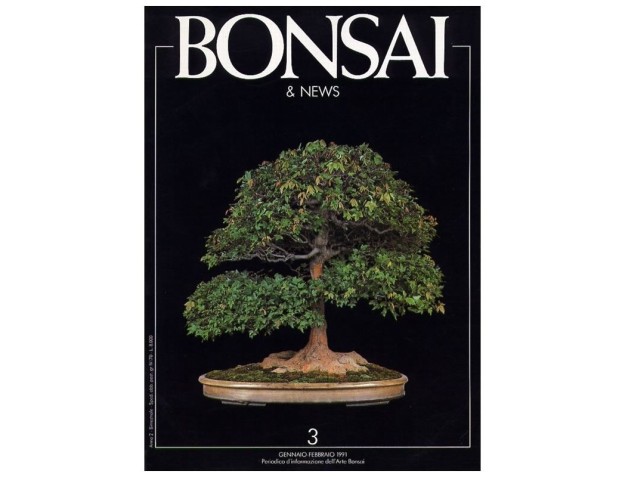 BONSAI & news n.   3 - Gennaio-Febbraio 1991